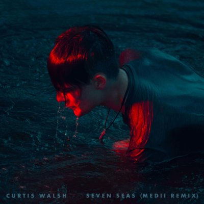 Curtis Walsh - Seven Seas (Medii Remix)